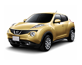 Nissan Nissan Juke (Ниссан Жук) (2010 - ...) 1.6